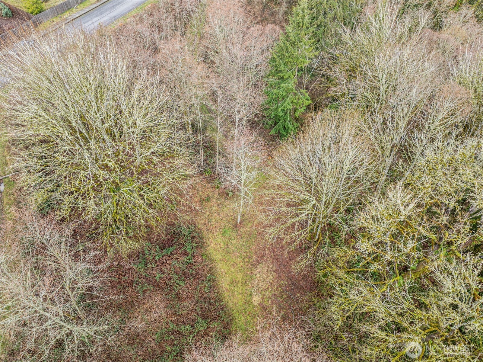 0 Horizon Drive Lot 3 Property Photo 6