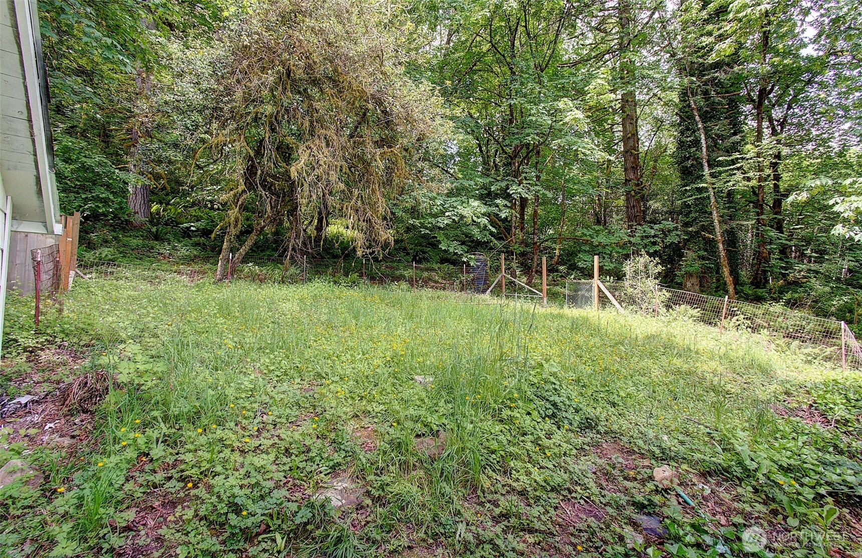 6405 Westside Highway Property Photo 26