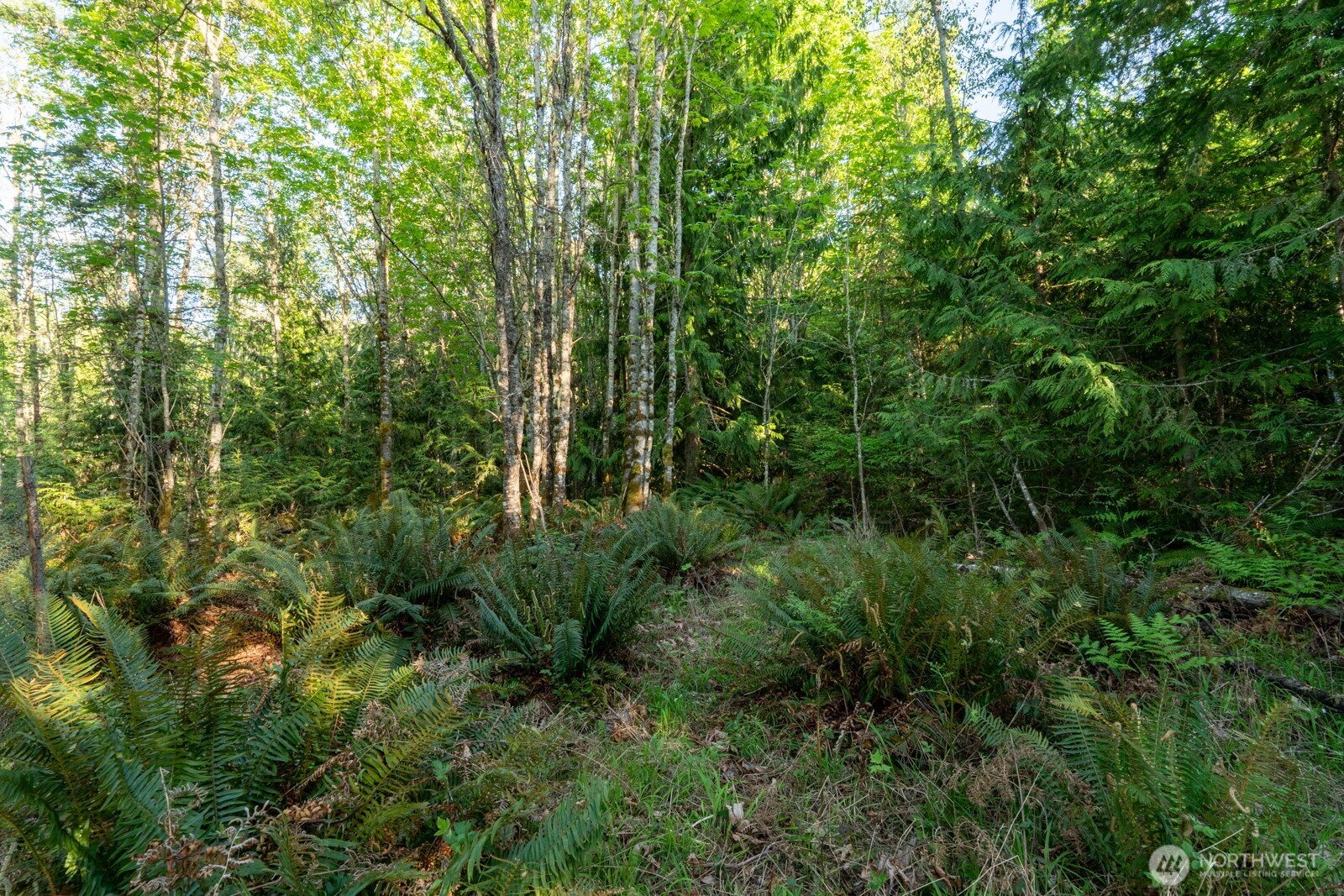 405 Elk Run Trail Property Photo 6