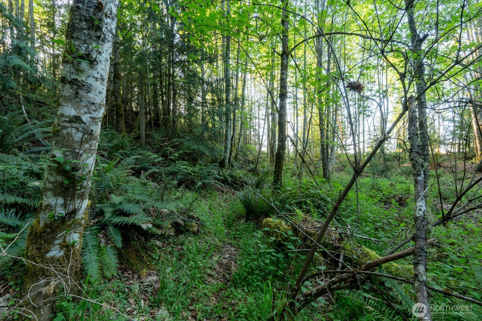 405 Elk Run Trail Property Photo 7