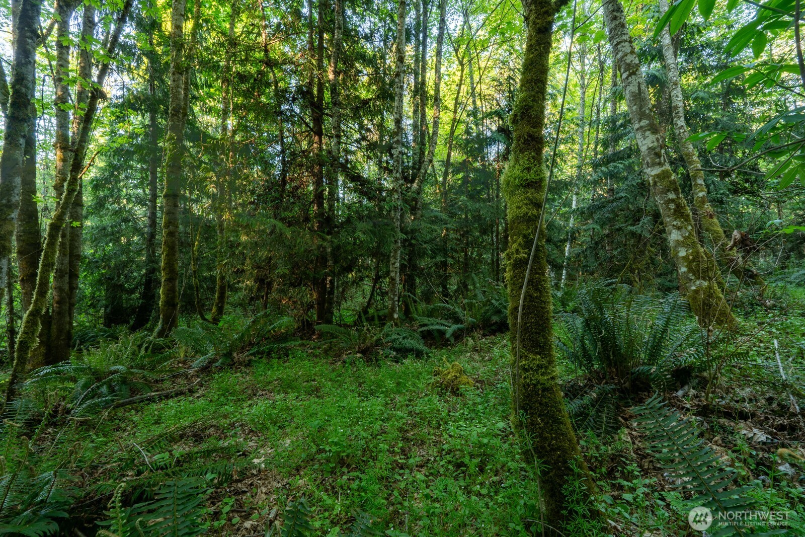 405 Elk Run Trail Property Photo 8