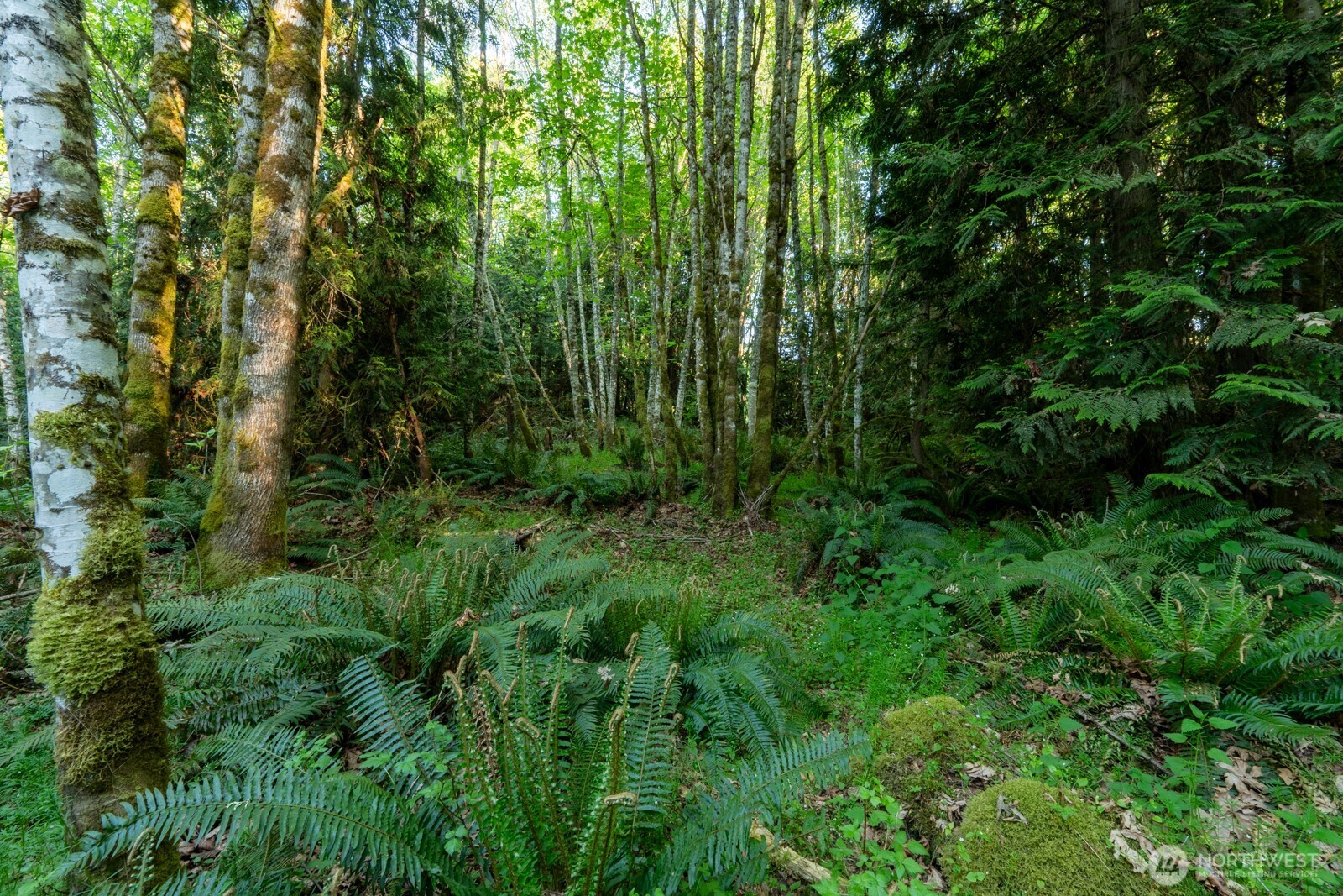 405 Elk Run Trail Property Photo 9