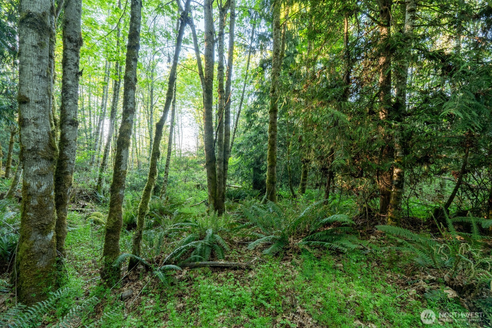 405 Elk Run Trail Property Photo 10