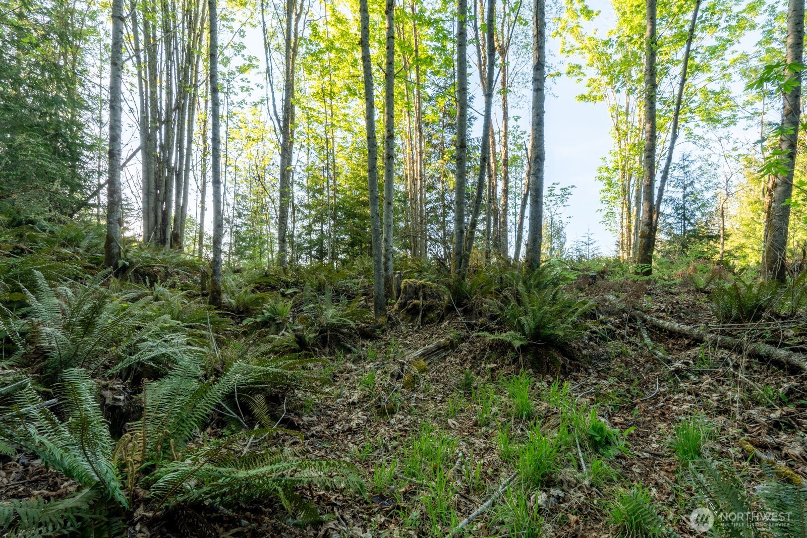 405 Elk Run Trail Property Photo 11