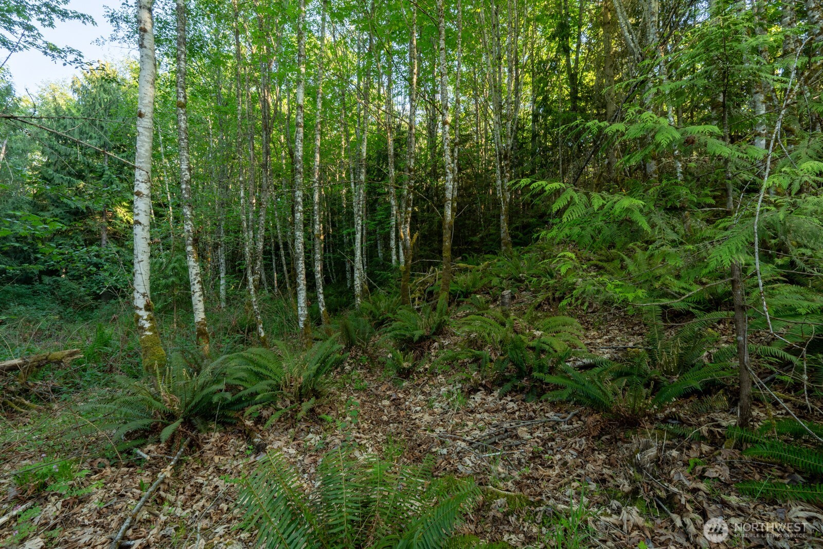 405 Elk Run Trail Property Photo 12