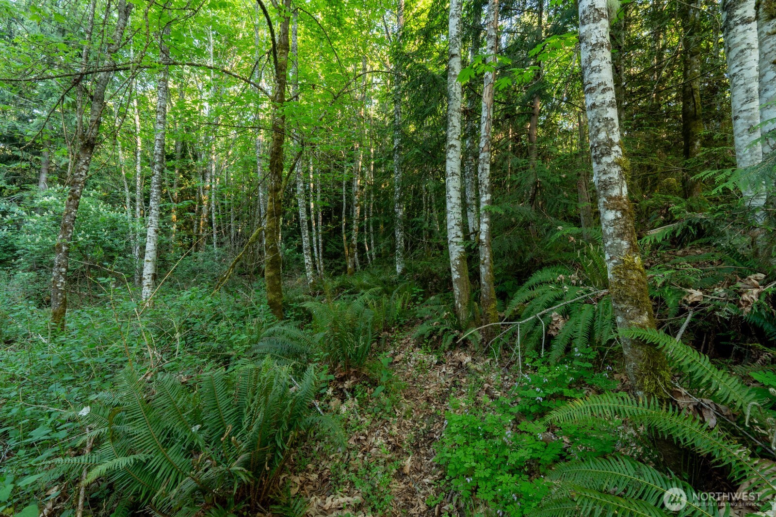405 Elk Run Trail Property Photo 13