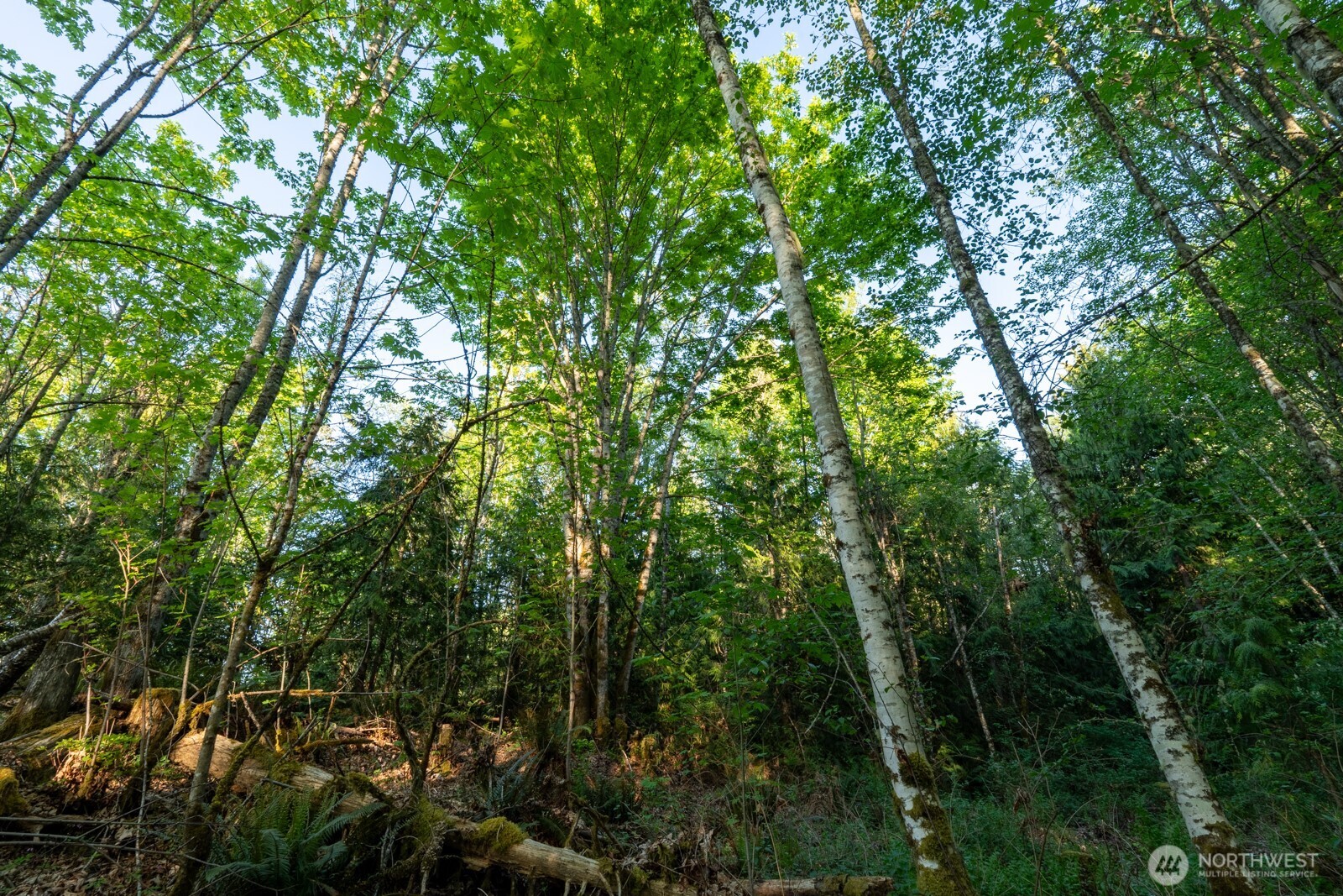 405 Elk Run Trail Property Photo 14