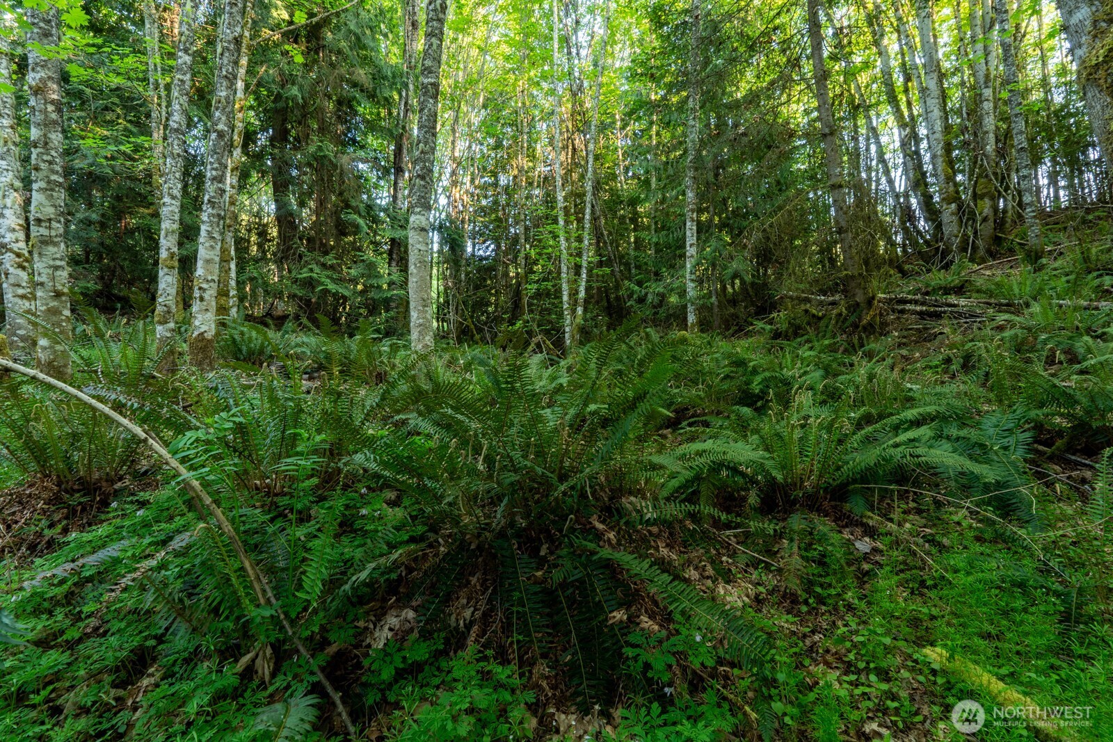 405 Elk Run Trail Property Photo 15
