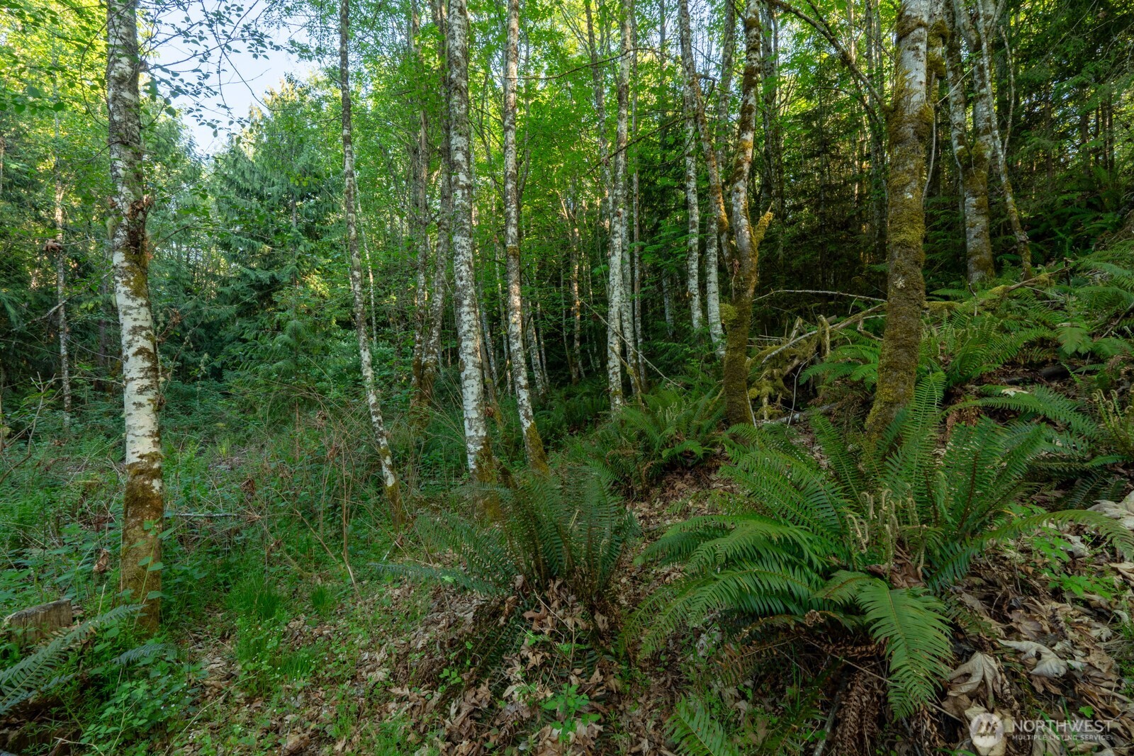 405 Elk Run Trail Property Photo 16