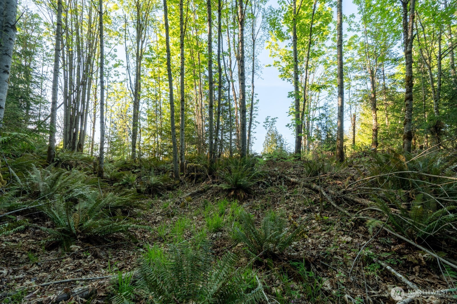 405 Elk Run Trail Property Photo 17