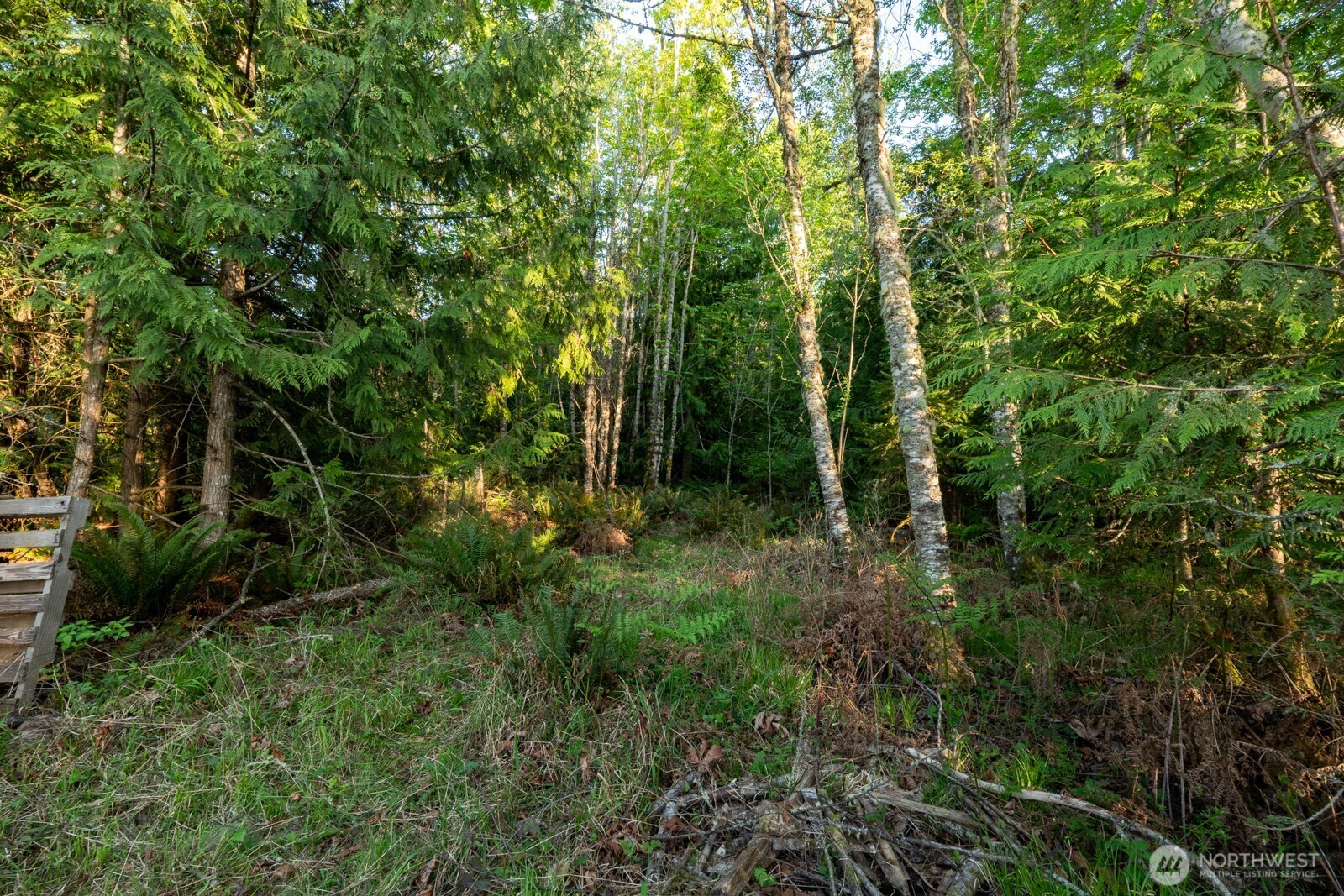 405 Elk Run Trail Property Photo 18