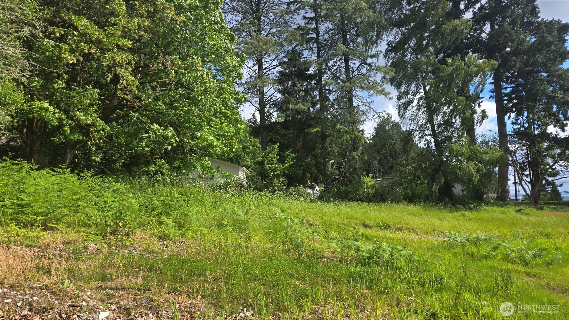 1562 Cole Street Property Photo 13