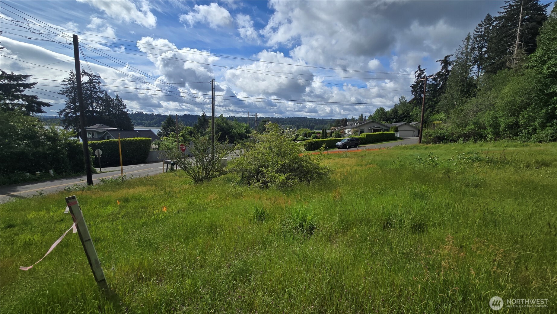 1562 Cole Street Property Photo 15