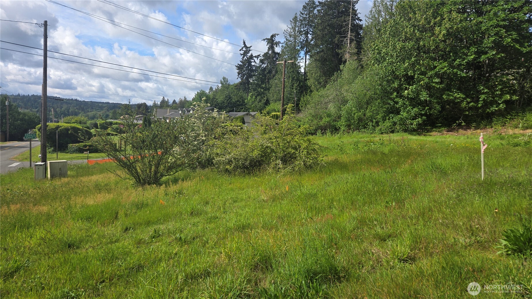 1562 Cole Street Property Photo 17