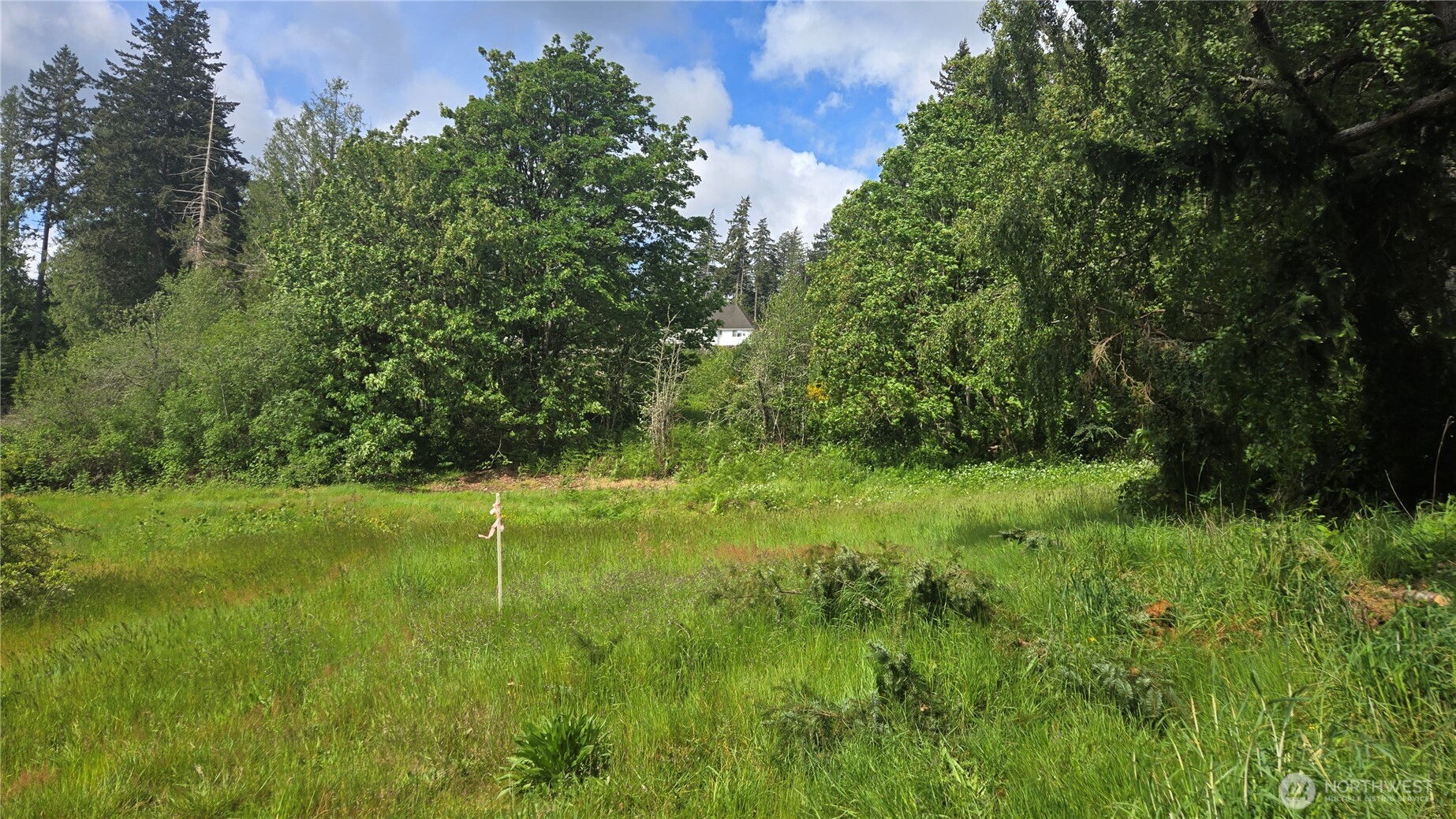 1562 Cole Street Property Photo 18