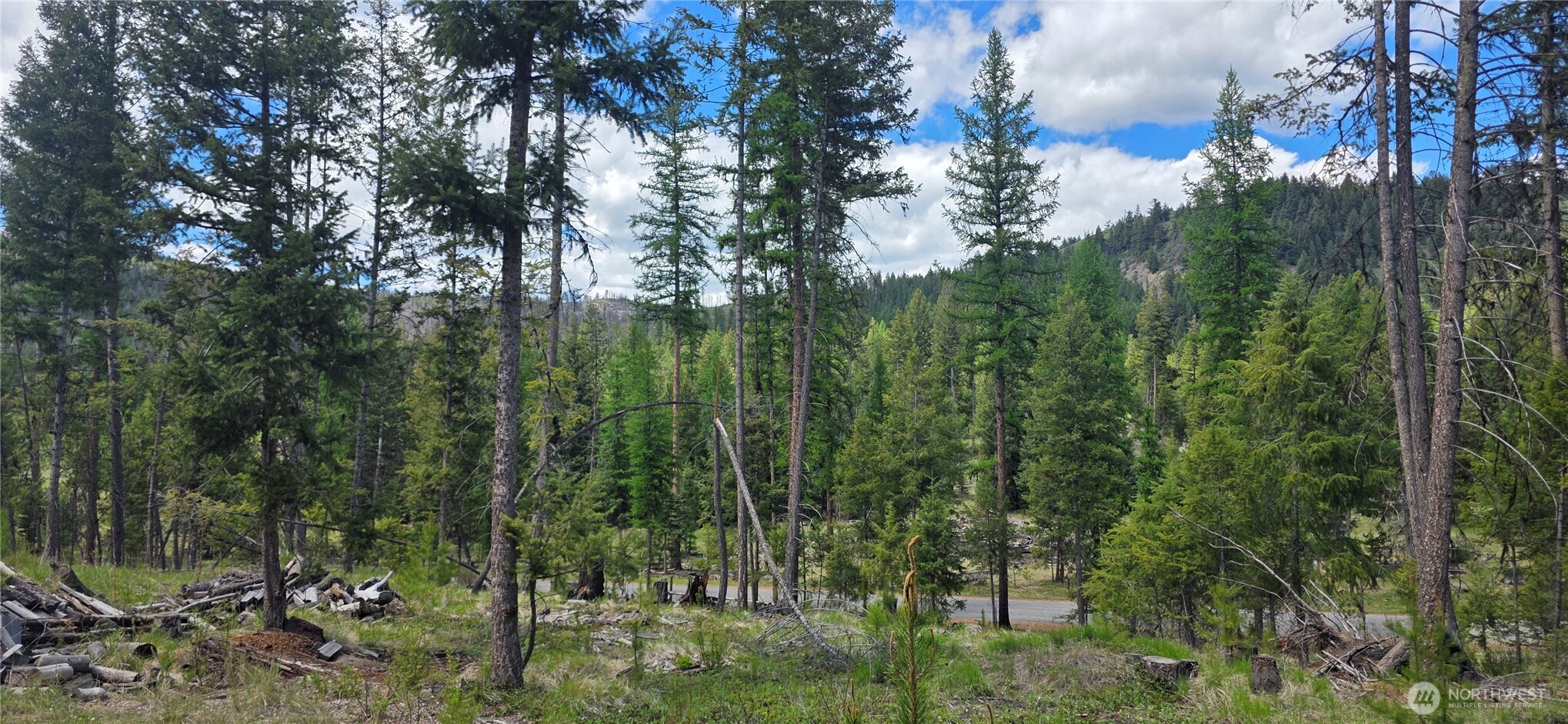 790 Bonaparte Lake Rd Property Photo 3