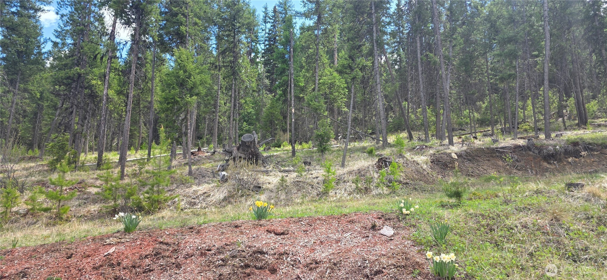 790 Bonaparte Lake Rd Property Photo 26
