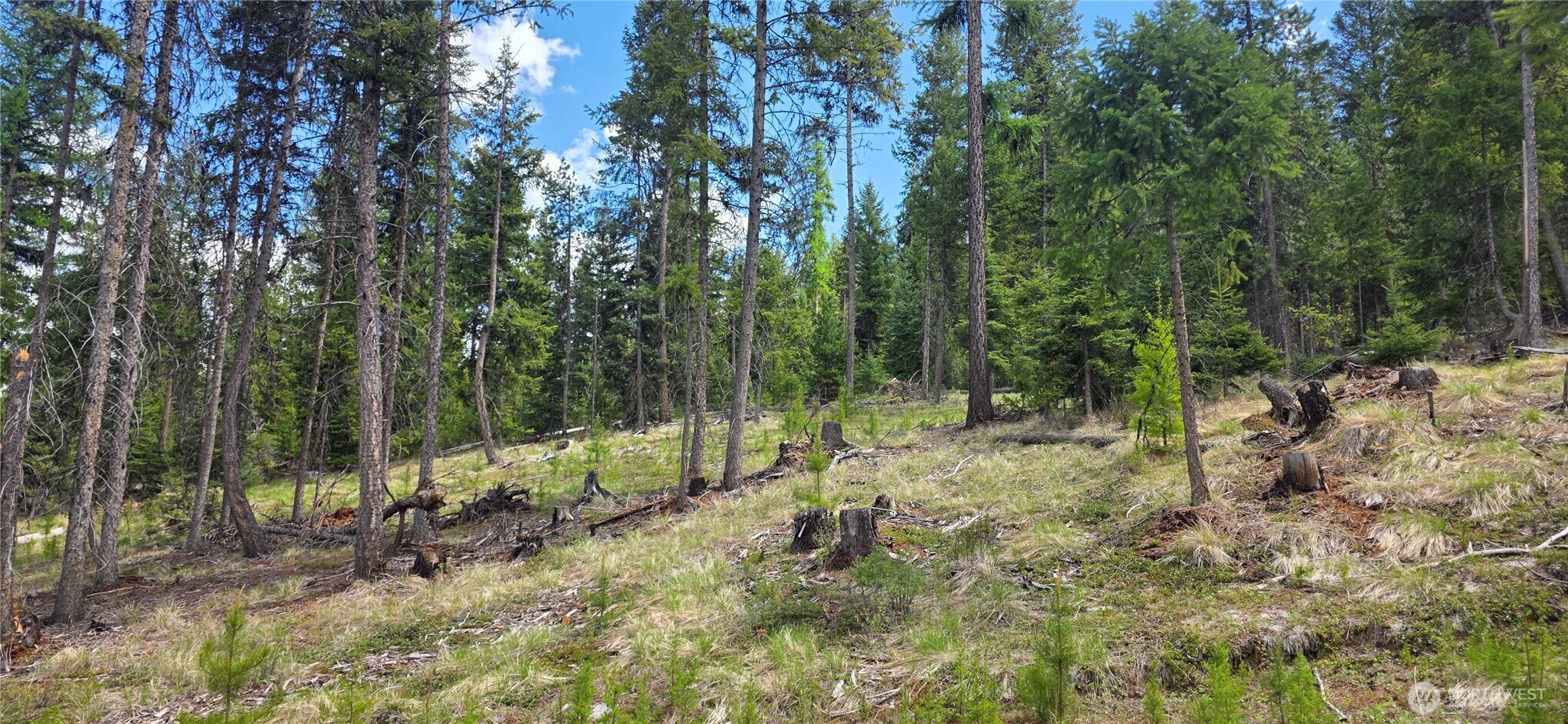 790 Bonaparte Lake Rd Property Photo 28