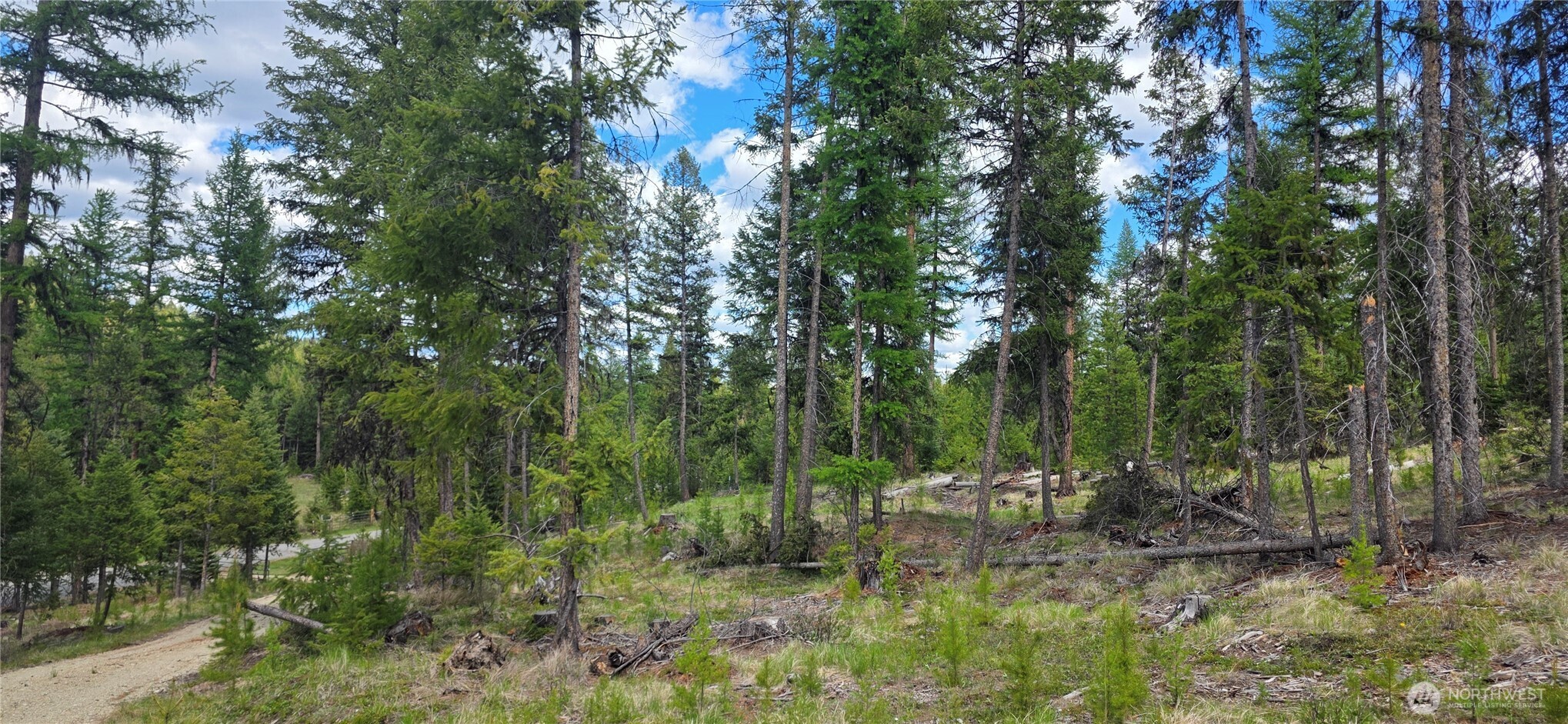 790 Bonaparte Lake Rd Property Photo 29