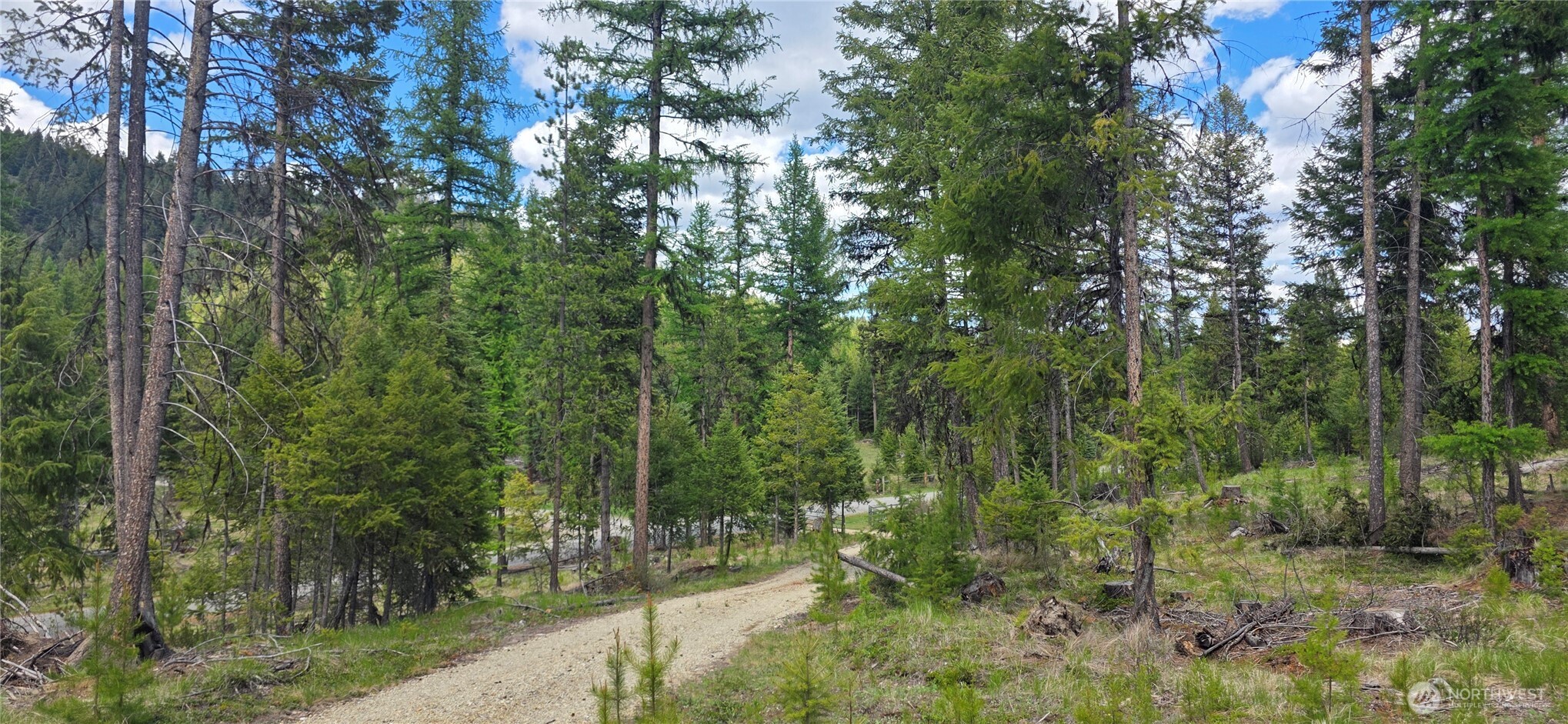790 Bonaparte Lake Rd Property Photo 30