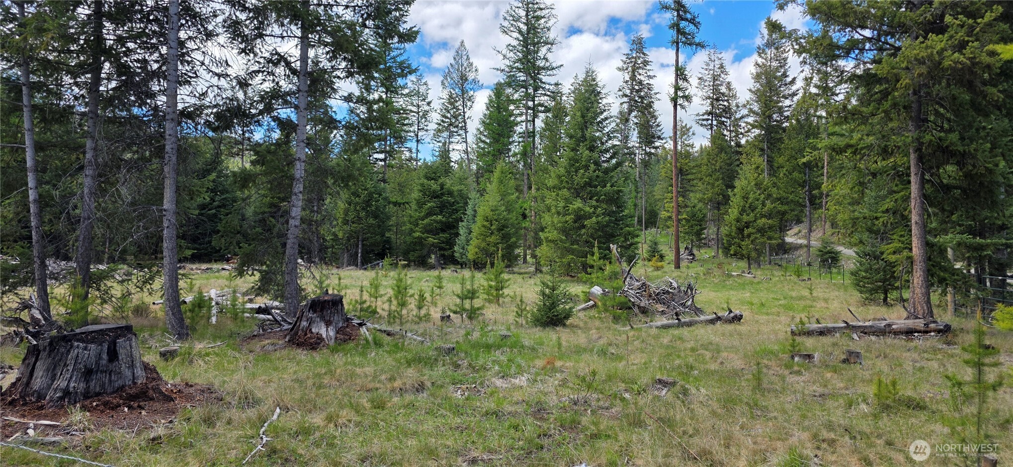 790 Bonaparte Lake Rd Property Photo 33