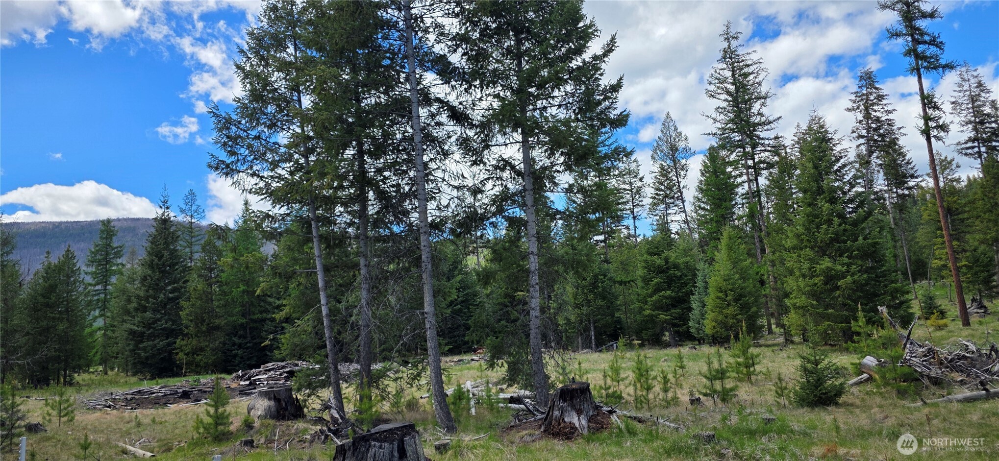 790 Bonaparte Lake Rd Property Photo 34