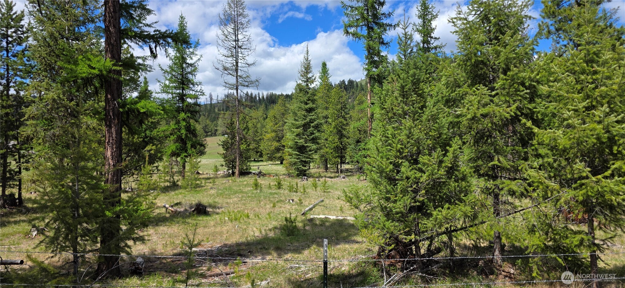 790 Bonaparte Lake Rd Property Photo 37