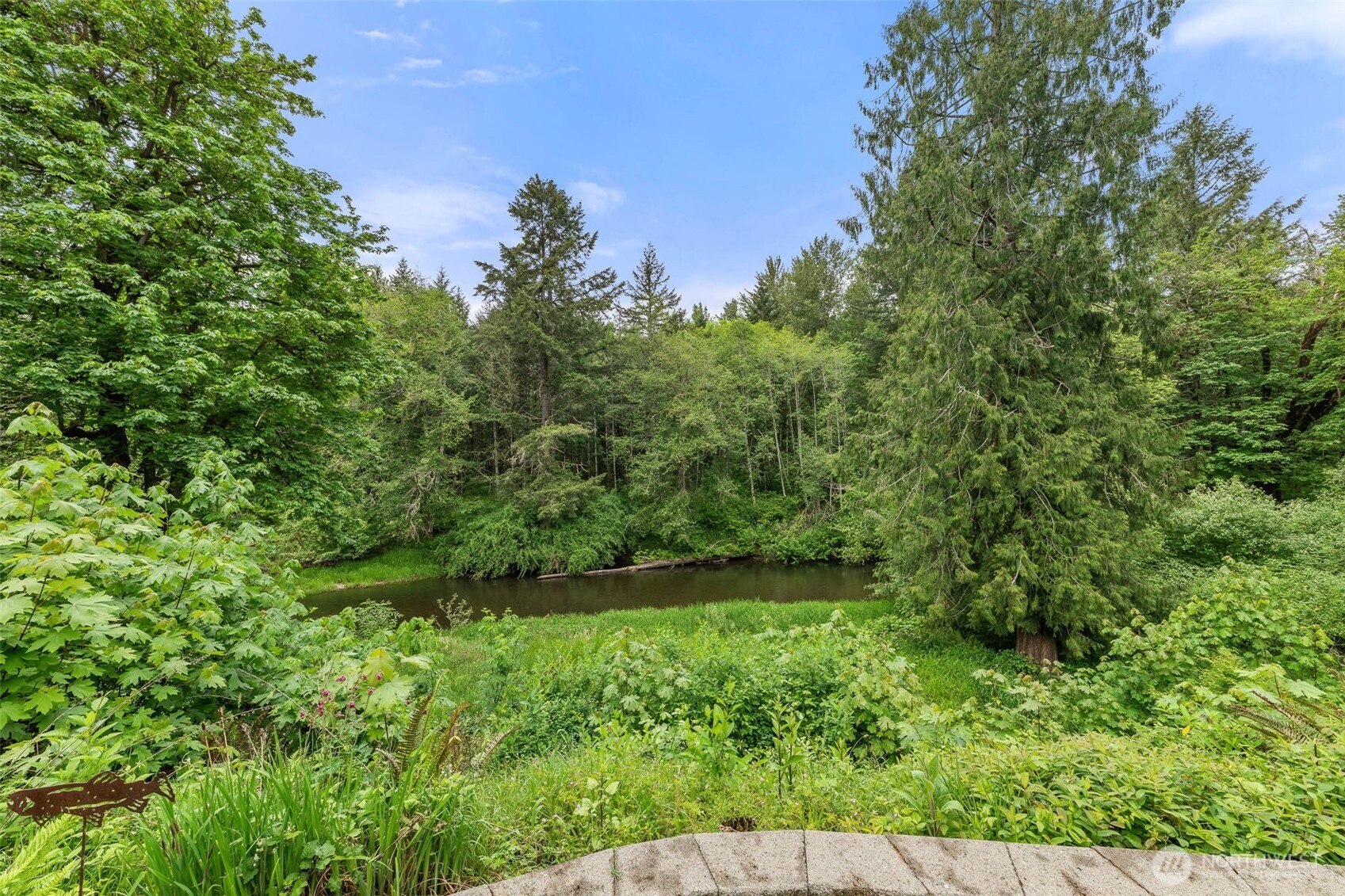 11008 Cowlitz Drive Property Photo 27
