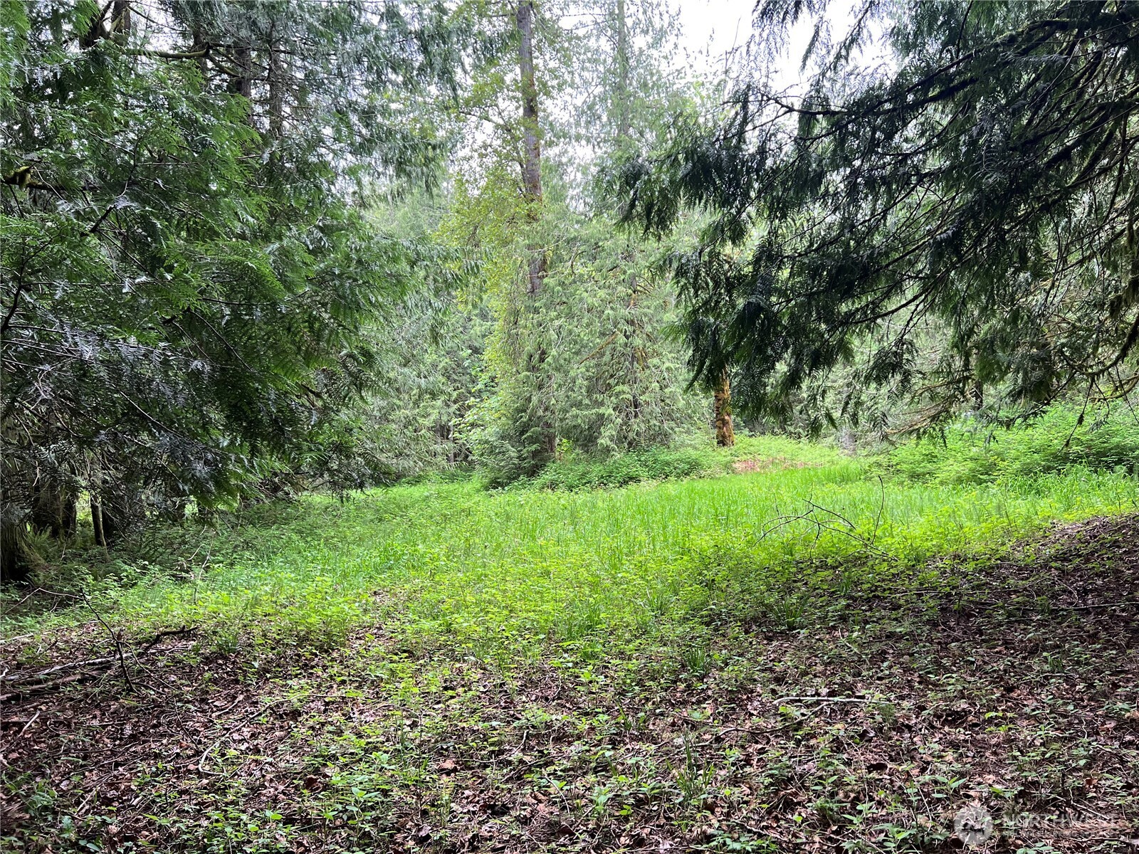 1 Xxxx Se 51st Street Property Photo 2