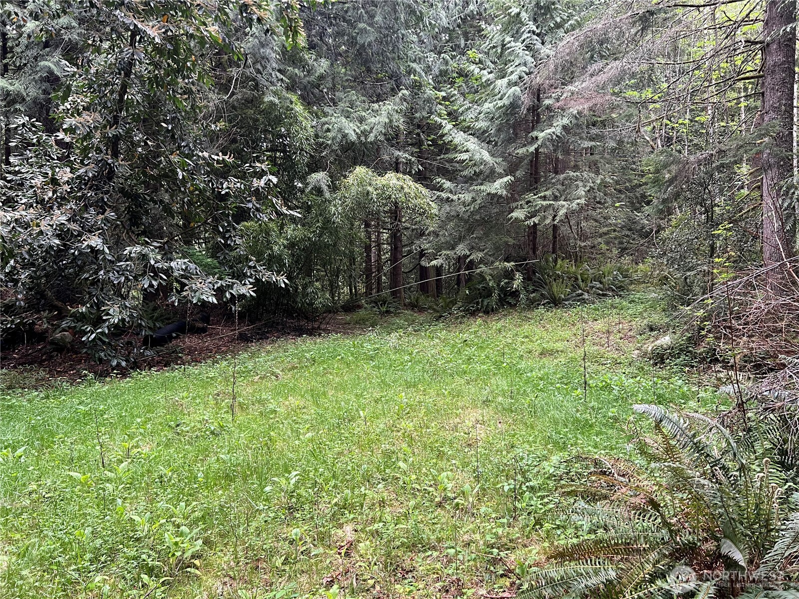 1 Xxxx Se 51st Street Property Photo 8