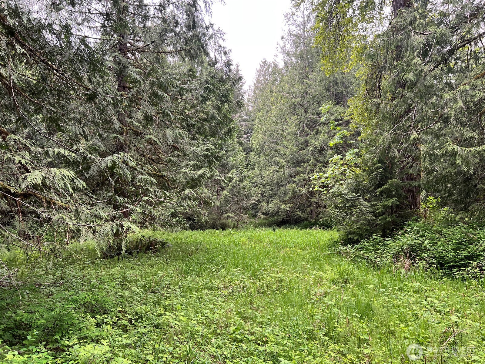 1 Xxxx Se 51st Street Property Photo 10