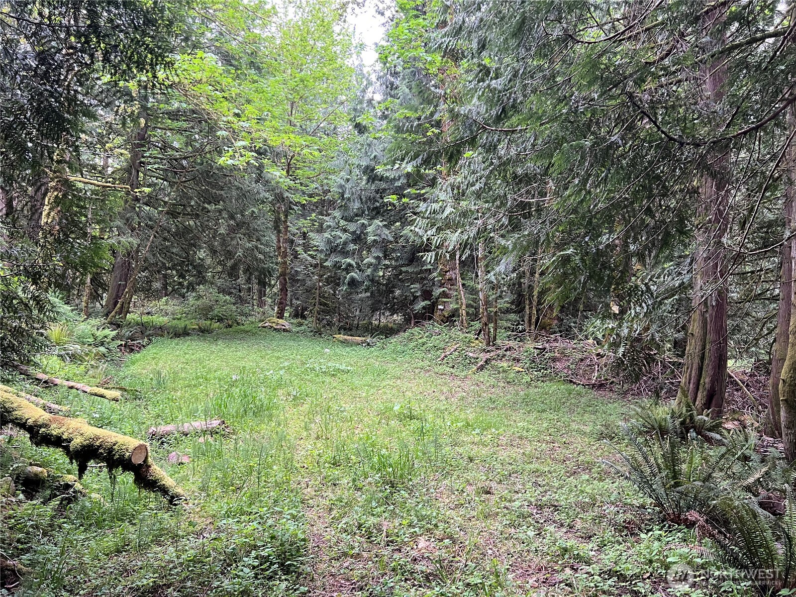 1 Xxxx Se 51st Street Property Photo 11