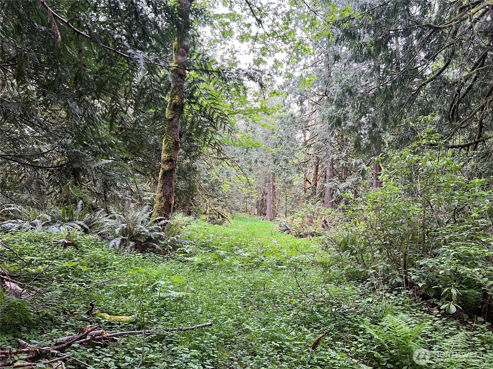 1 Xxxx Se 51st Street Property Photo 12