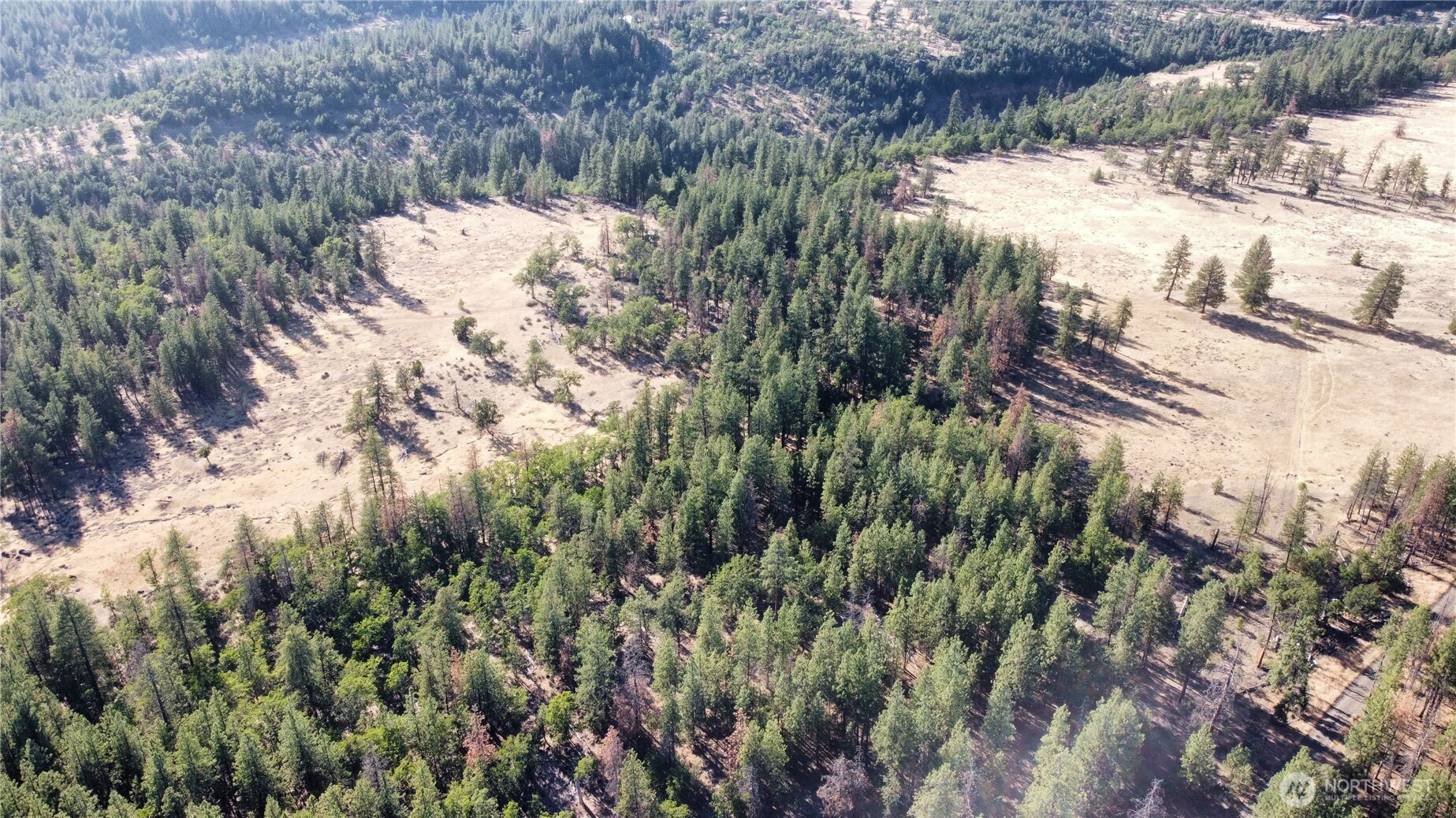 0 81.27 Ac Tanzanite Property Photo 4