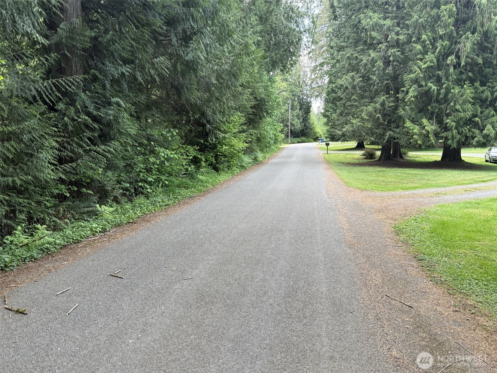 12213 155th Avenue Property Photo 11