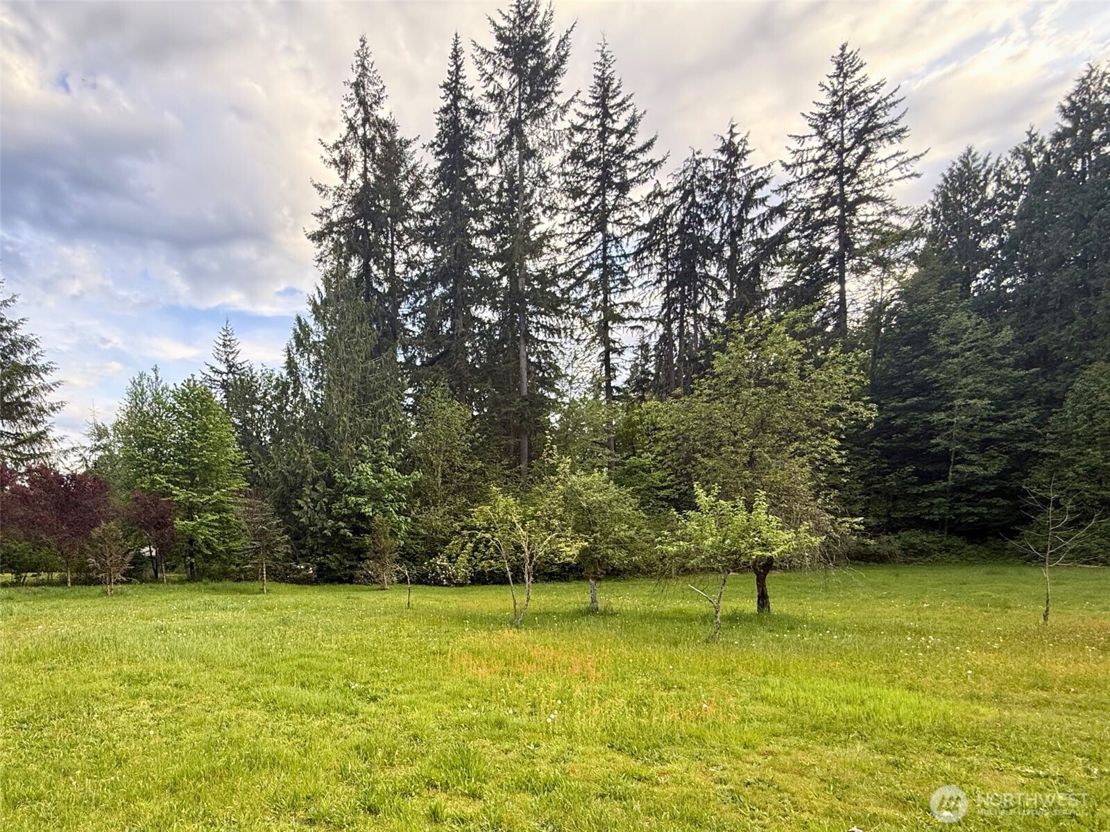 12213 155th Avenue Property Photo 15