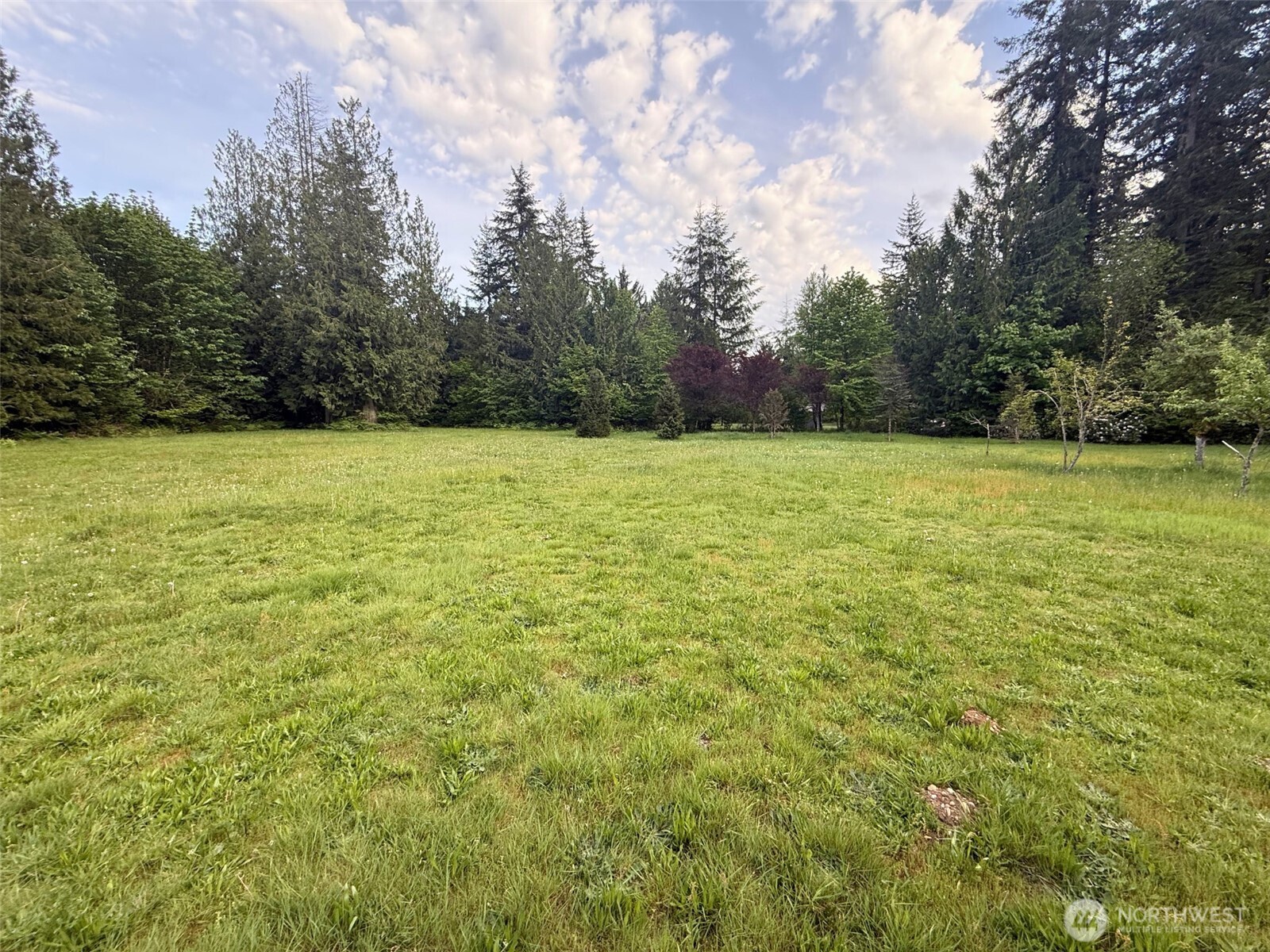 12213 155th Avenue Property Photo 16
