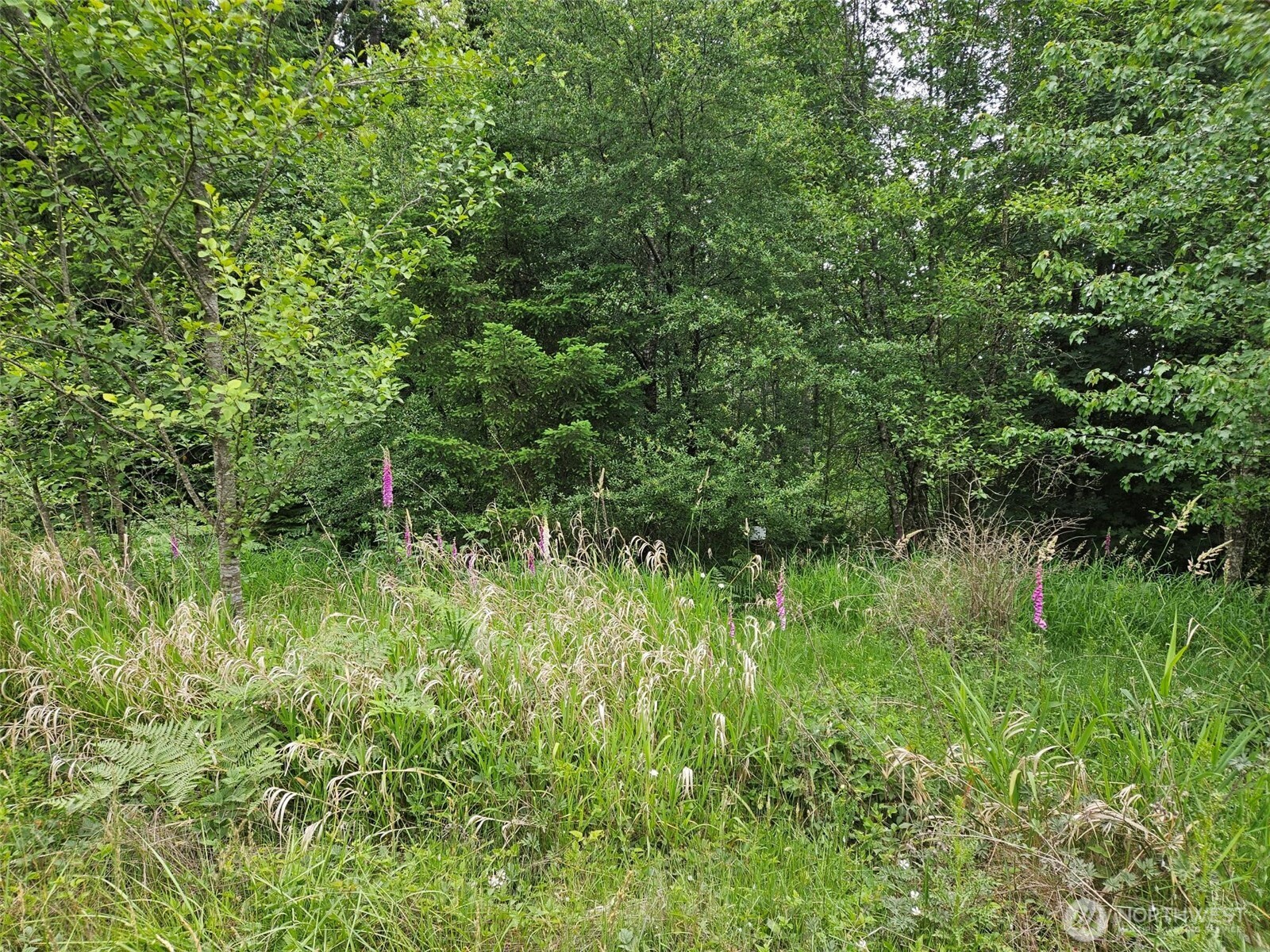 5033 Polehn Road Property Photo 2