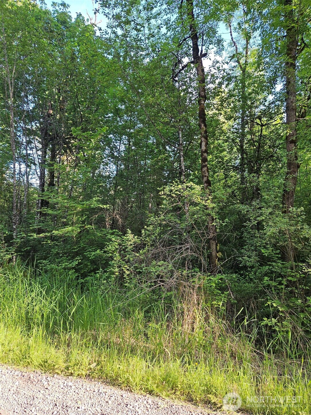 5033 Polehn Road Property Photo 6