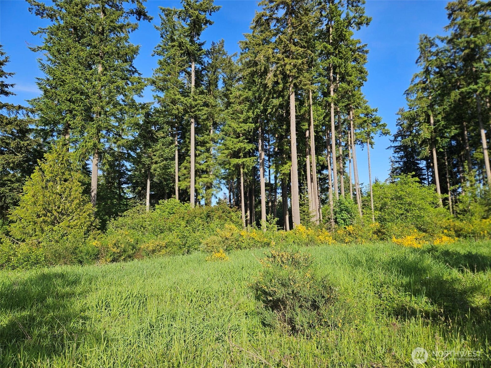 5033 Polehn Road Property Photo 8