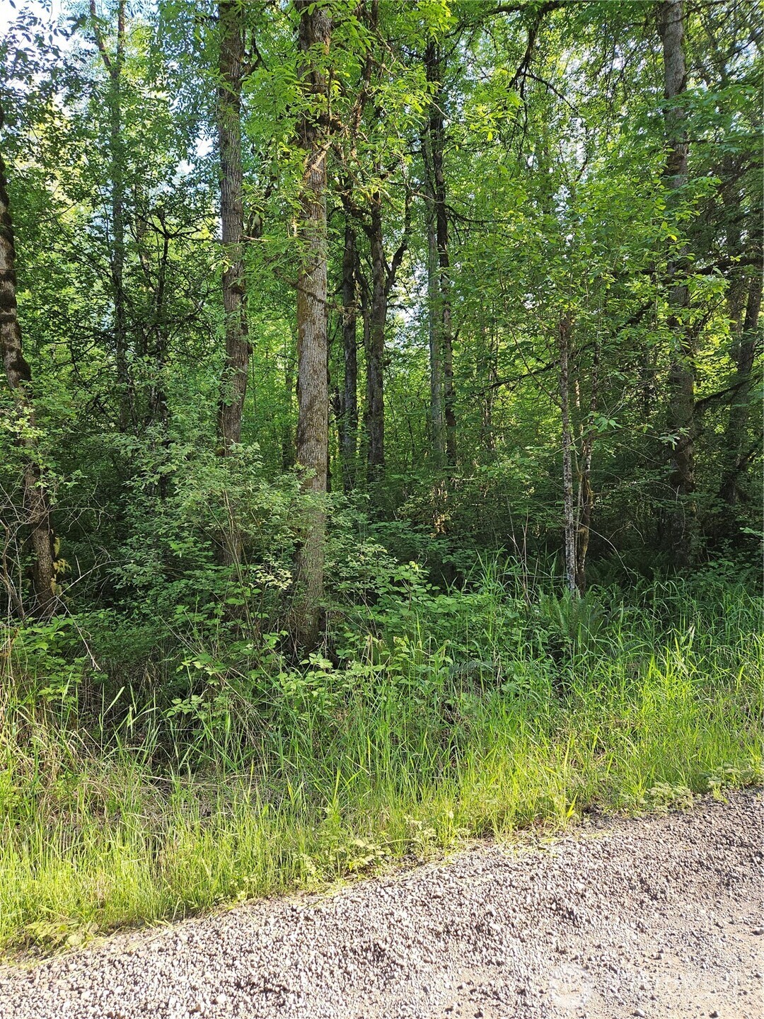 5033 Polehn Road Property Photo 9