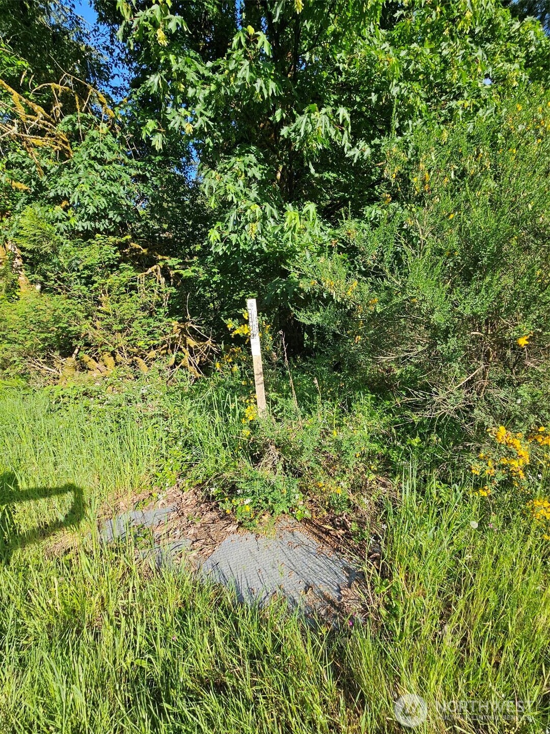 5033 Polehn Road Property Photo 14
