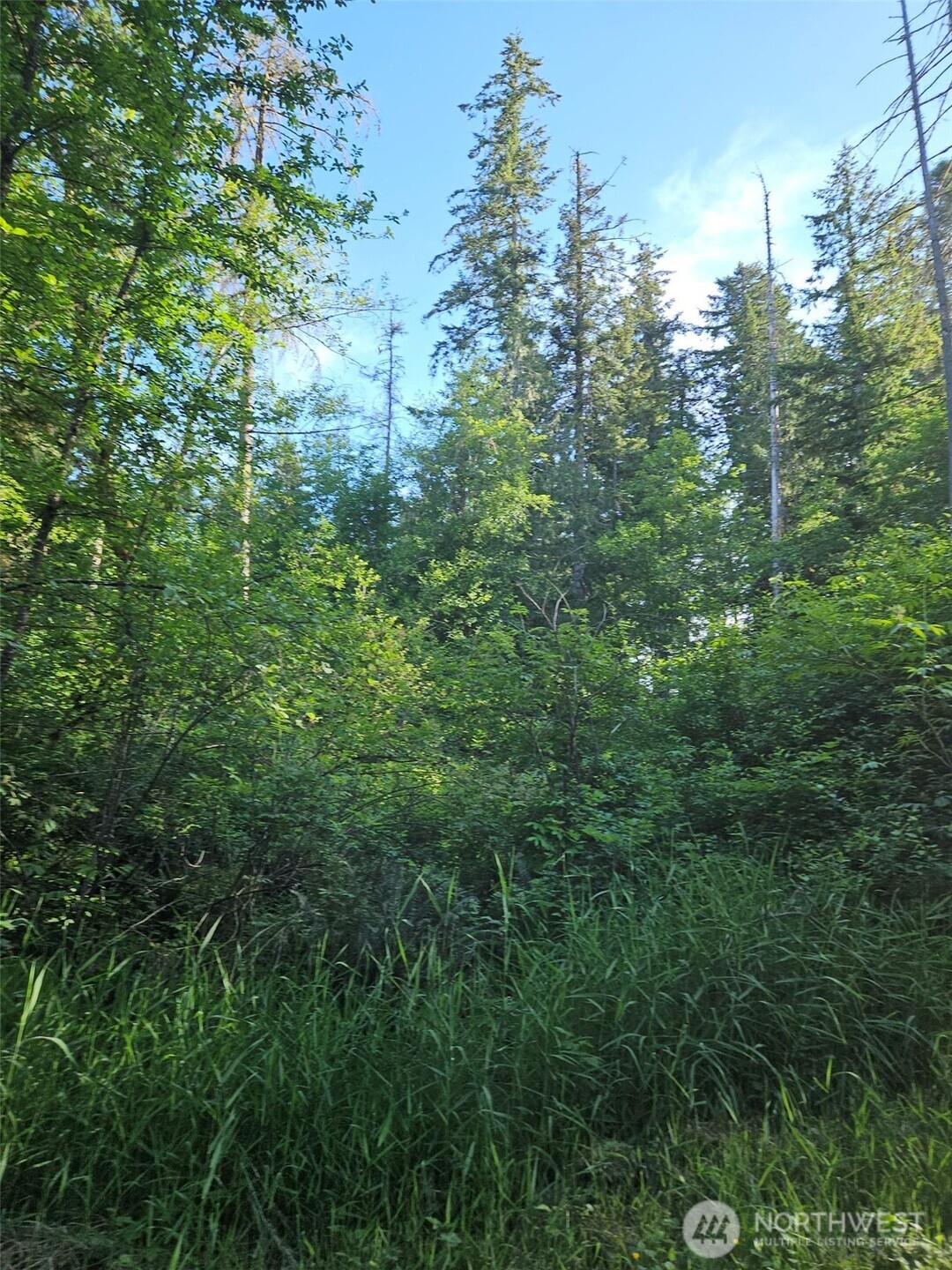 5033 Polehn Road Property Photo 16