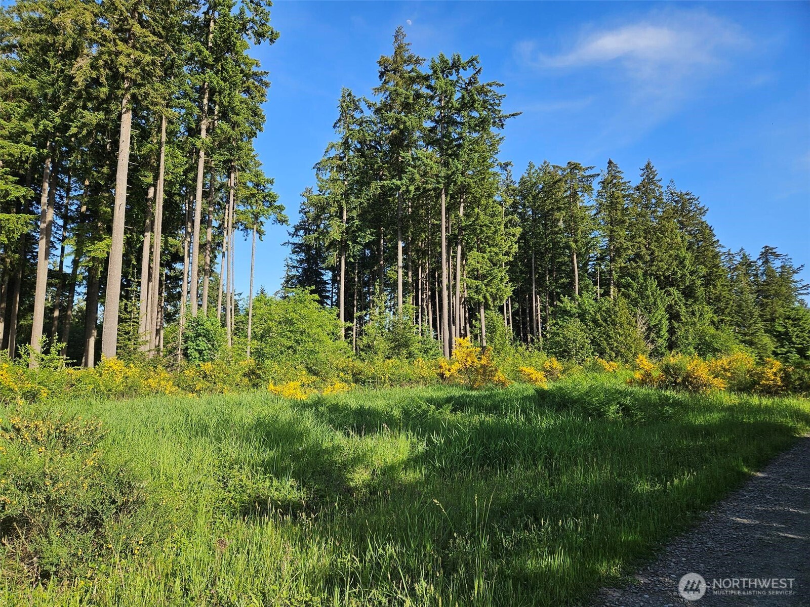 5033 Polehn Road Property Photo 17