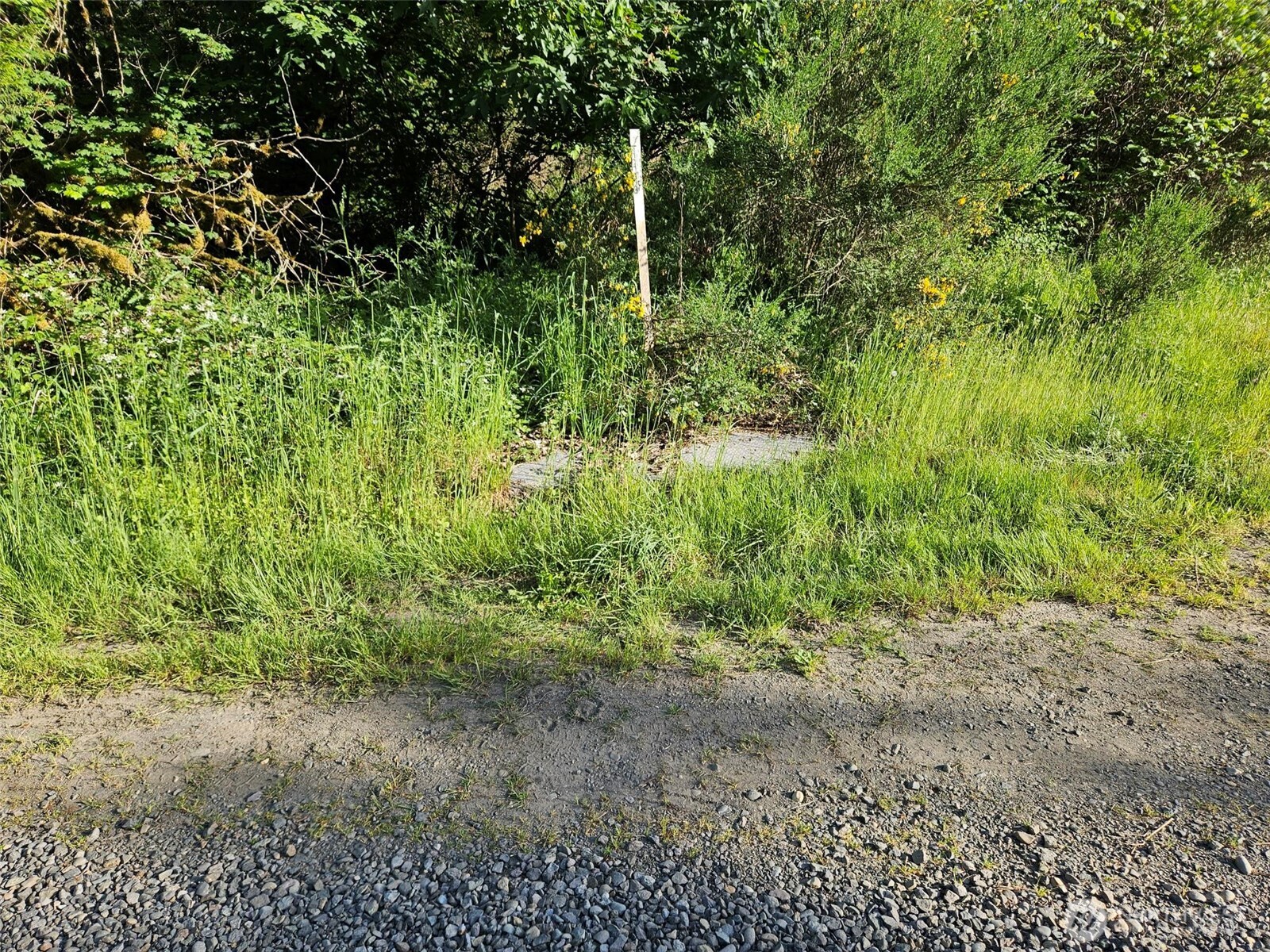 5033 Polehn Road Property Photo 18