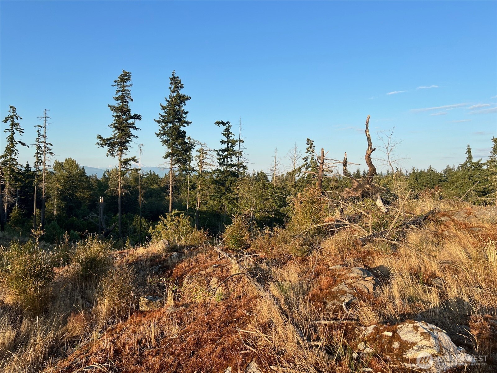 7006 State Route 20 Property Photo 7