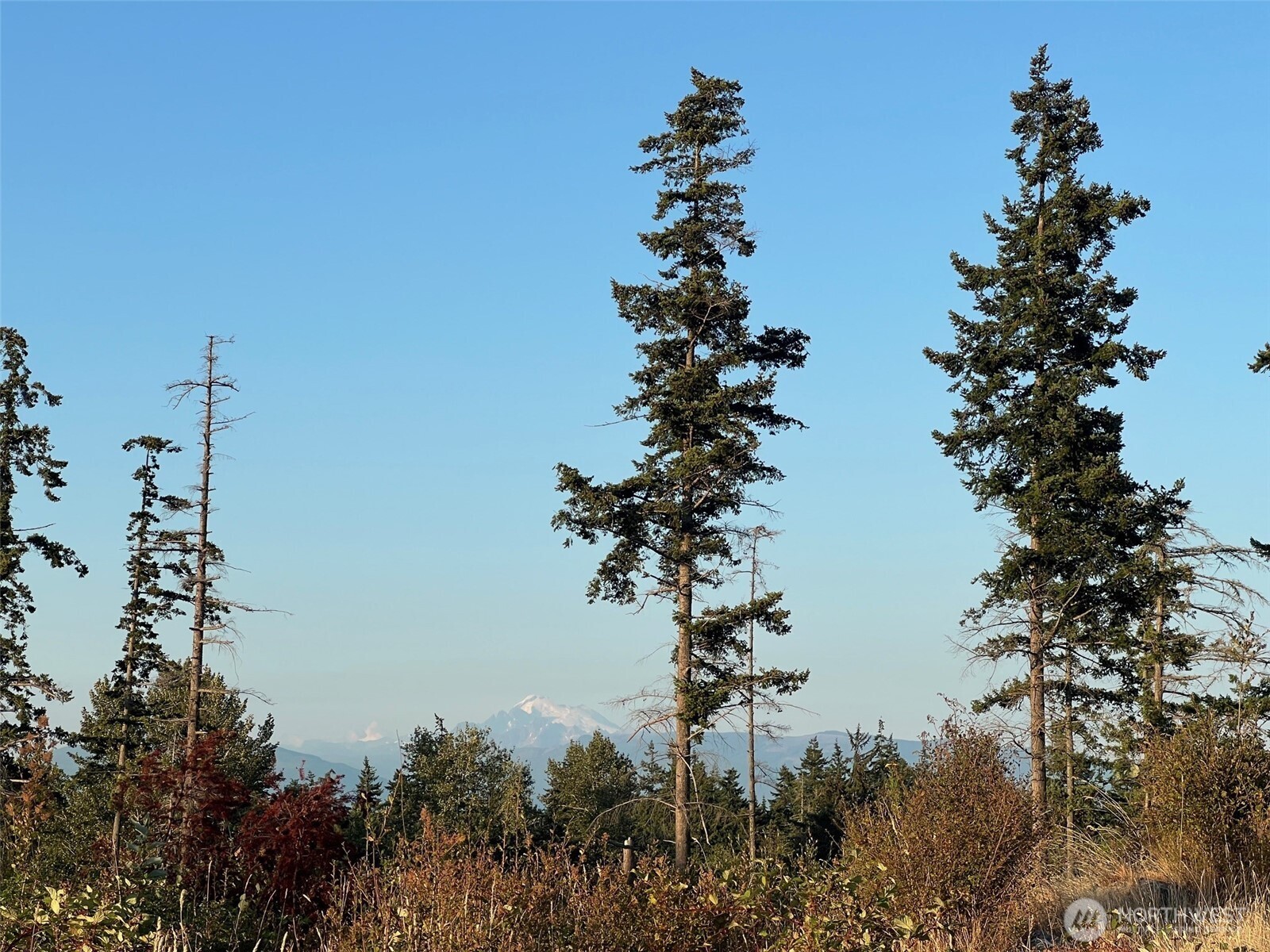 7006 State Route 20 Property Photo 14