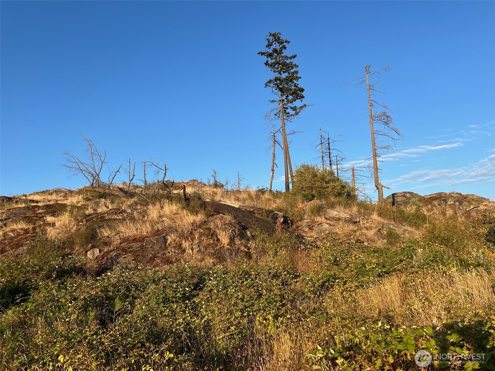 7006 State Route 20 Property Photo 15
