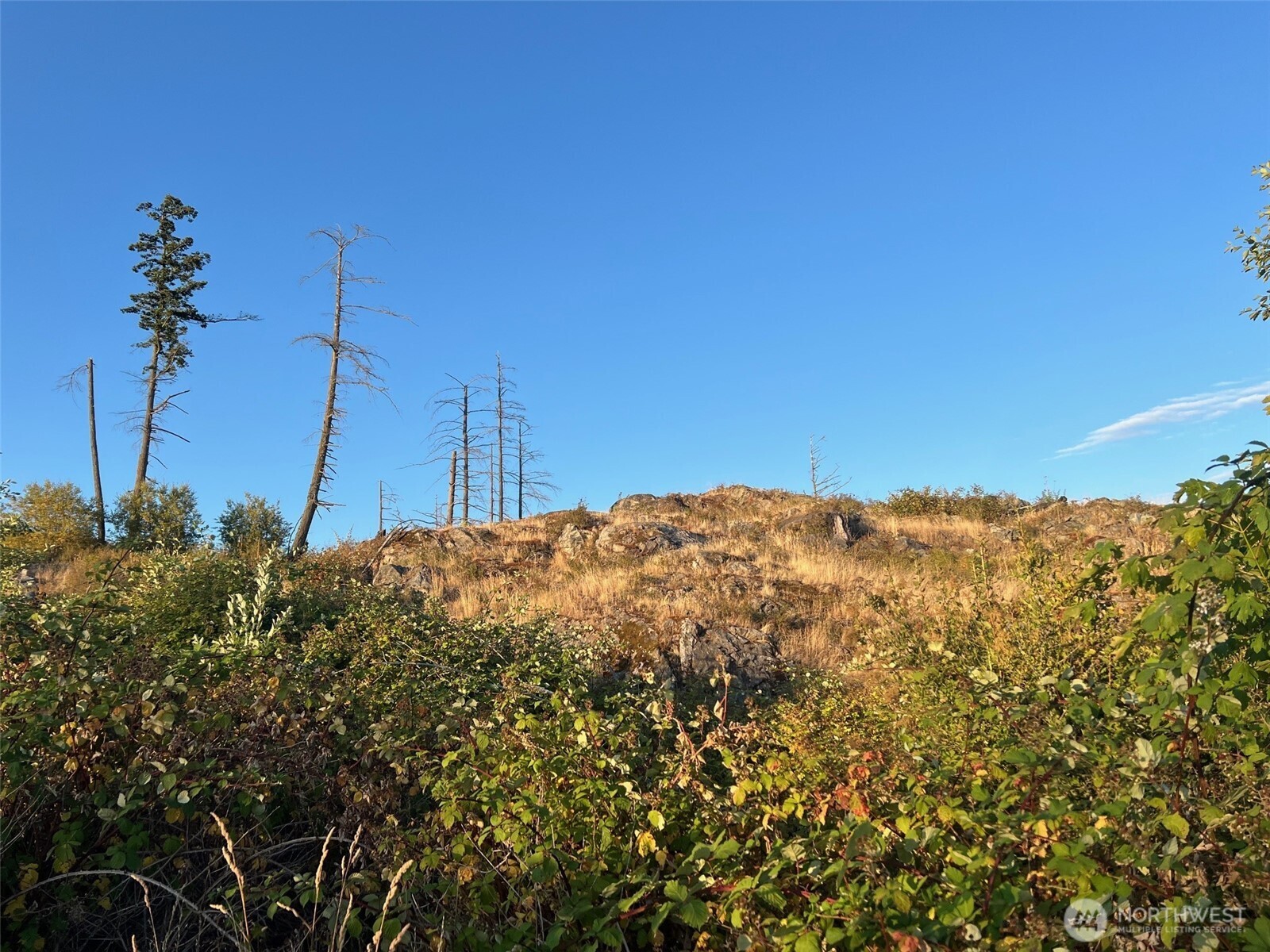 7006 State Route 20 Property Photo 16