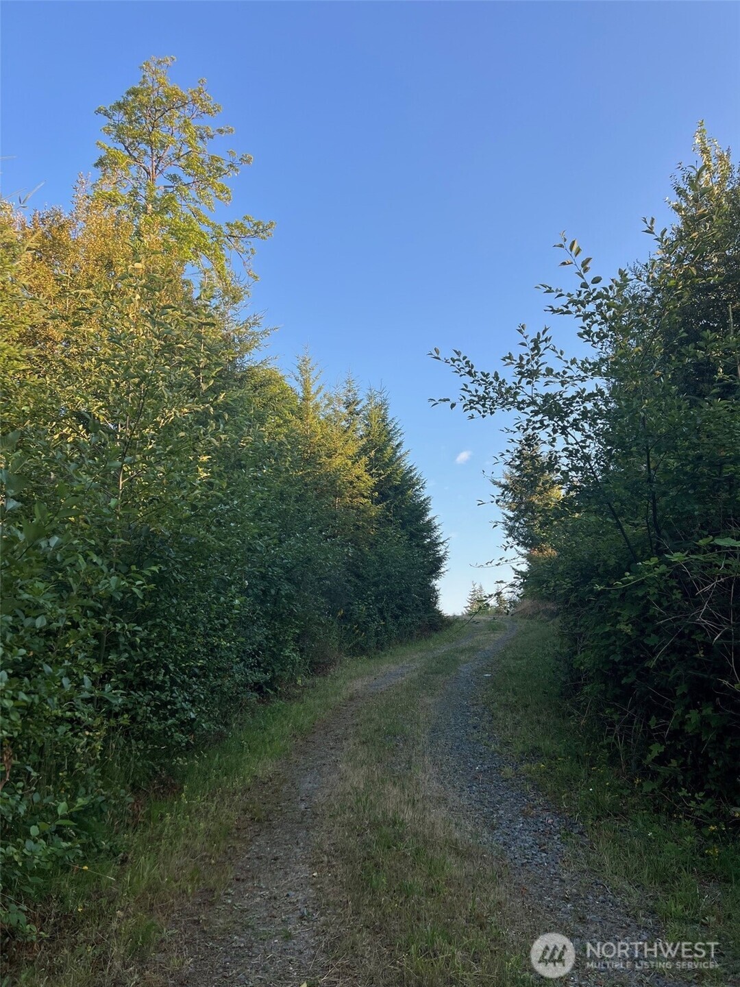 7006 State Route 20 Property Photo 22